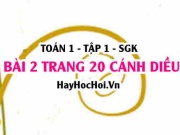 Bài 2 trang 20 Toán 12 tập 1 Cánh Diều